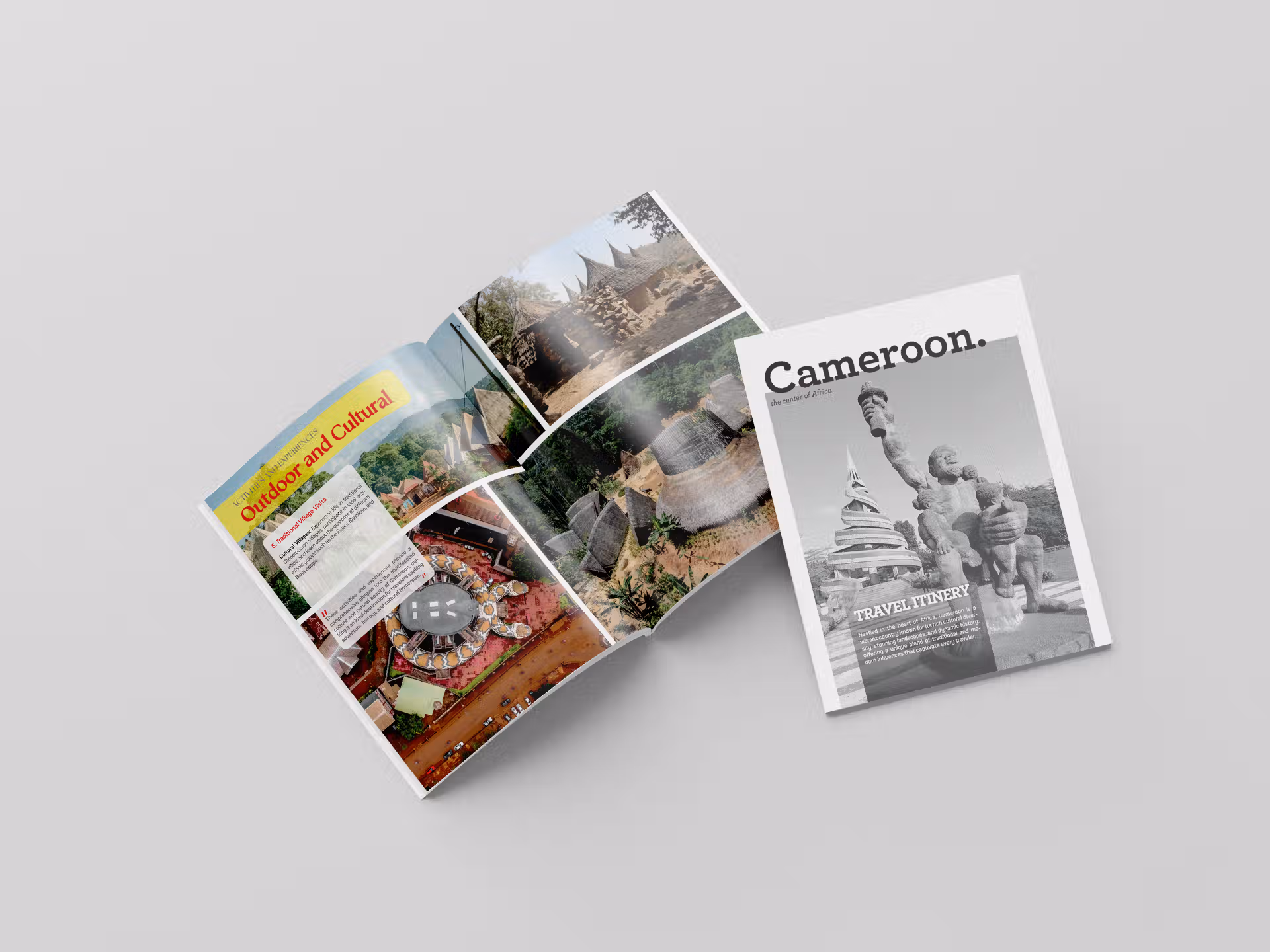 Conceptual Graphic Design Project