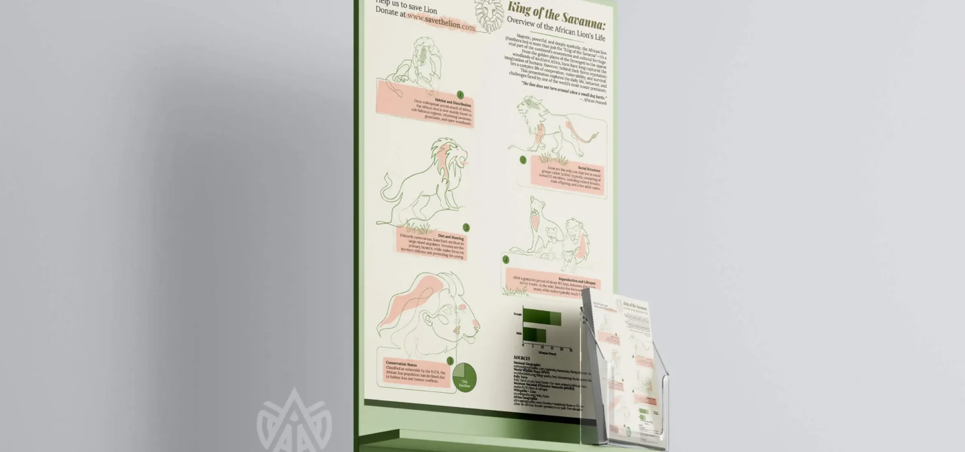 Lion Infographics