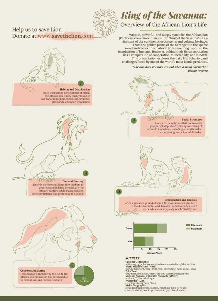 Infographics